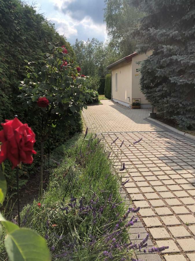 Ferienhaus Zur Blautanne Klipphausen Kültér fotó